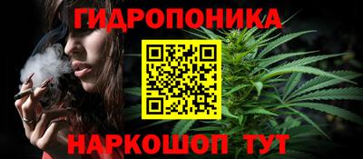 крисы Чебоксары