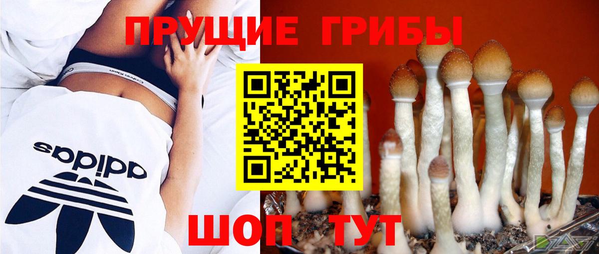 Воронеж  Псилоцибиновые грибы ЛСД  Вход с VPN  наркошоп  Псилоцибиновые грибы Psilocybe 